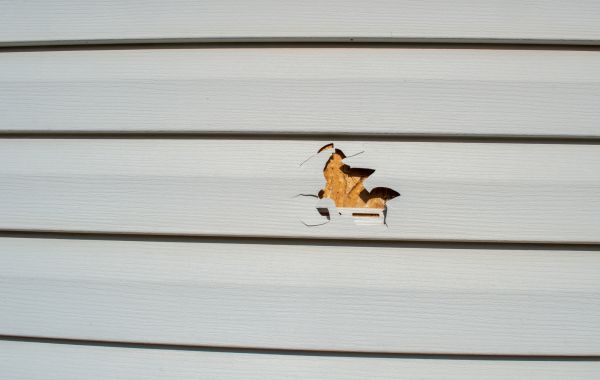 Siding Hole Repair in San Diego