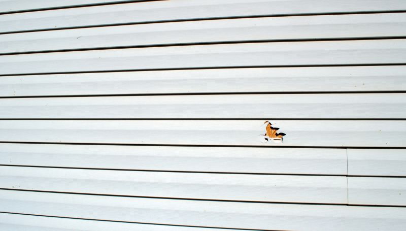 Vinyl Siding Repair Image 1